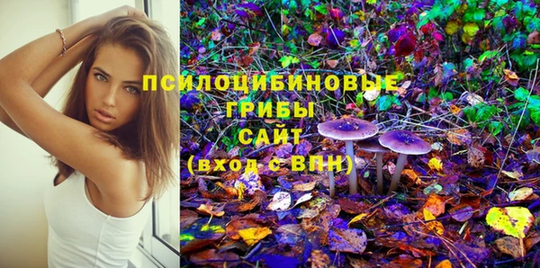 Альфа ПВП Верея