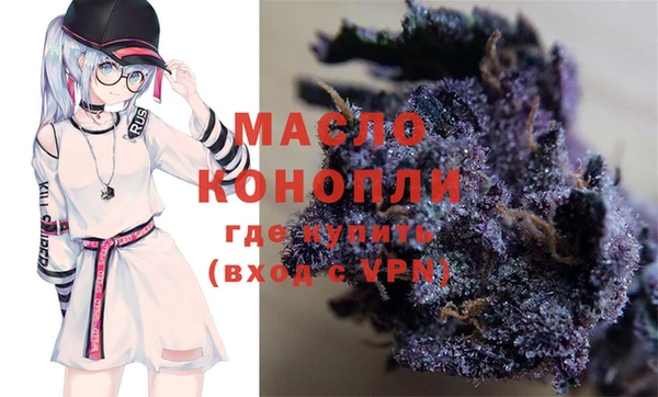 дживик Богородск