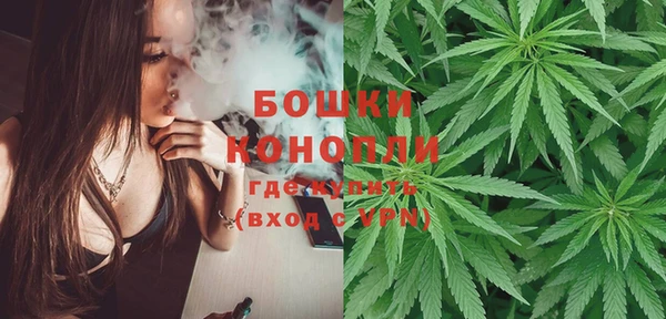 дживик Богородск
