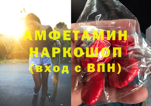 Альфа ПВП Верея