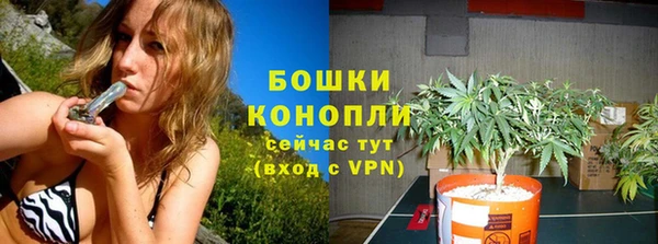 Альфа ПВП Верея