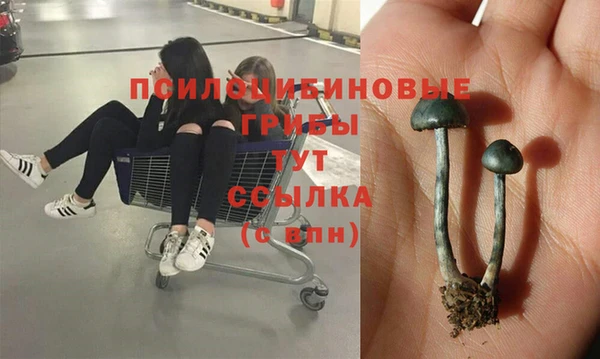 мескалин Богданович
