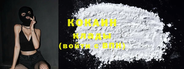 Альфа ПВП Верея